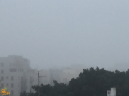 الضباب يشل مطار "بن غوريون"